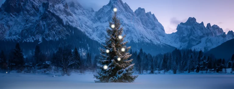 Weihnachtsbaum EasyFirma
